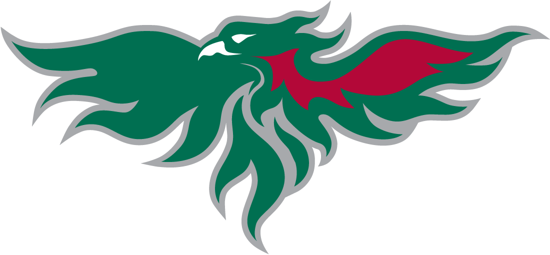 Wisconsin-Green Bay Phoenix 2007-Pres Partial Logo diy fabric transfer
